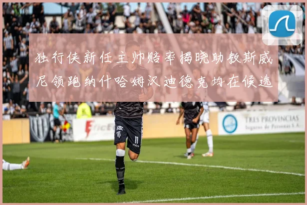 独行侠新任主帅赔率揭晓助教斯威尼领跑纳什哈姆汉迪德克均在候选之中